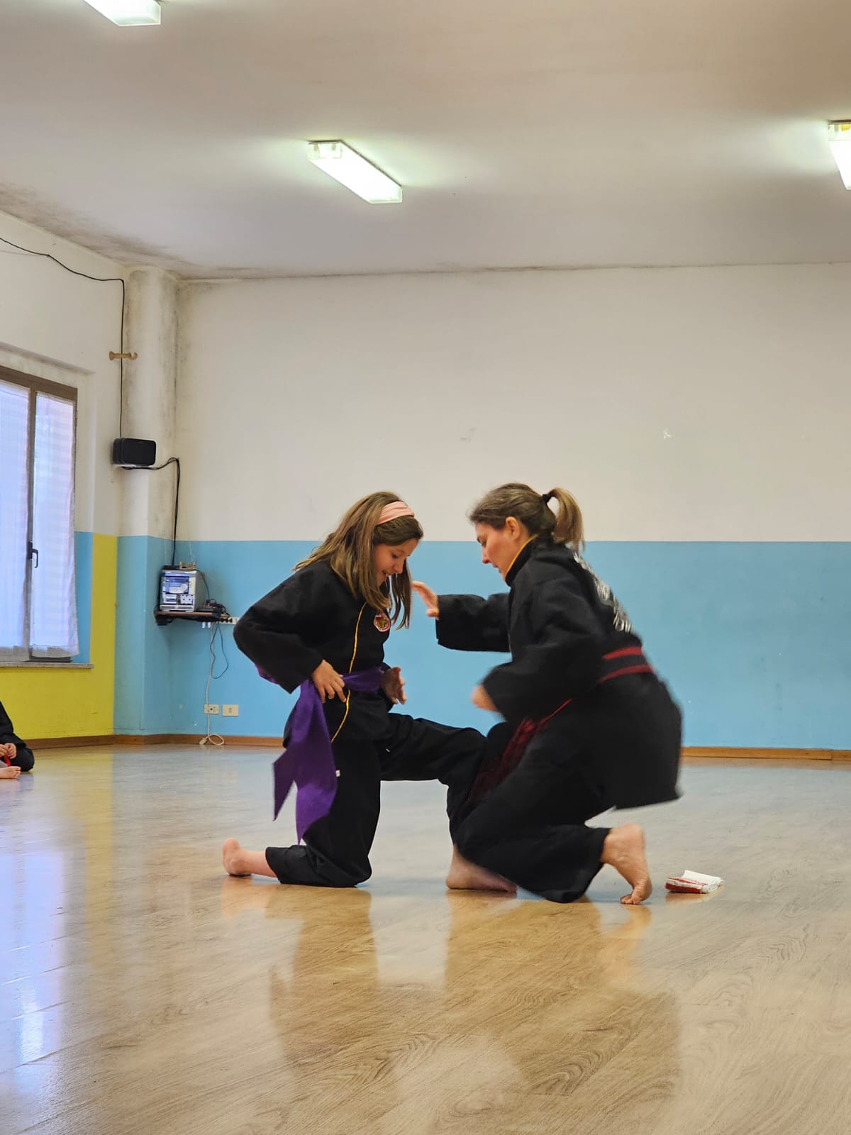 qkd gradi 2024 viola